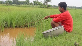 Fishing Video || Amazing hook fishing with beautiful nature || Fish catching trap