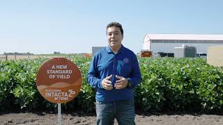 Soybean Production Systems And Digital Technologies