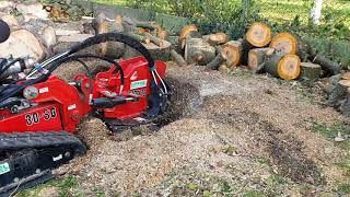 BARRETO 30SG rogneuse de souche -  BARRETO 30SG stump grinder