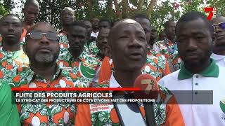 Fuite des produits agricoles : le syndicat des producteurs de Côte d'Ivoire fait des propositions