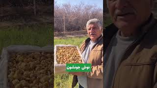 آیه ۳۹ سوره زمر: بگو: پروردگار من روزی را برای هر کسی که بخواهد وسیع یا تنگ می‌سازد.🌿