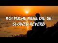 KOI PUCHE MERE DIL SE || SLOWED REVERB || DAILY MUSIC