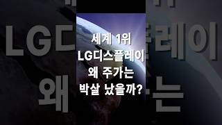 세계 1위 LG디스플레이, 왜 주가는 박살 났을까?