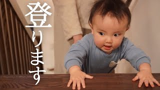 【生後10ヶ月】自分でボールを持って行く？！初めての階段登りでママ涙！