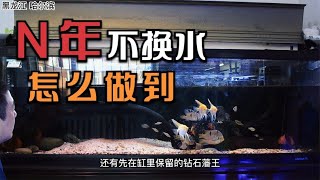 大混养缸为什么可以做到4年不换水（一）翻砂工具观赏鱼牛头鸭嘴   南美大混养鱼缸饲养维护设备