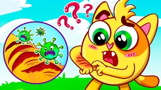 Why Do We Have Scabs Song | Educational Kids Songs 😻🐨🐰🦁 And Nursery Rhymes by Ba