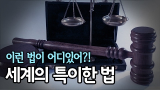 [왓섭! 신기기담] 세계의 특이한 법들 - 이런 법이 어디있어?!