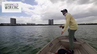 Fly Fishing Peacock Bass Tasik Prima Lake Prima Kuala Lumpur Malaysia