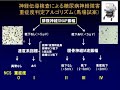 【糖尿病】合併症の入口、神経障害の診断と重症度分類の方法