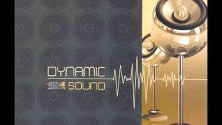 DYNAMIC DYNAMIC SOUND REMIX