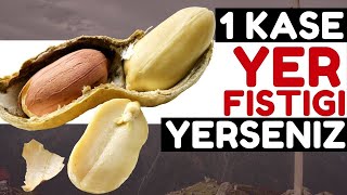 Sabahları 1 Kase Yer Fıstığı Vücudunuza Bunları Yapıyor | Yer Fıstığının Faydaları Nelerdir?