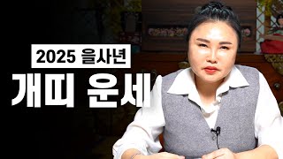 ✨ 2025년 을사년 ’개띠 운세‘ / 을사년 개띠생들의 특별한 변화들 #용한점집 #유명한점집