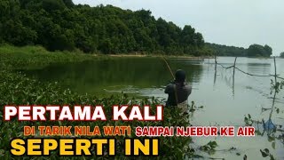 Baru kali ini mancing nila \