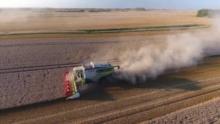 Summer Harvest 2016. DJI P4