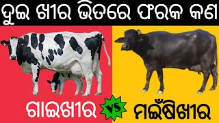 ଗାଈ ଖୀର ଏବଂ ମଇଁଷି ଖୀର ଭିତରେ ଫରକ || Difference between cow milk and buffalo milk .