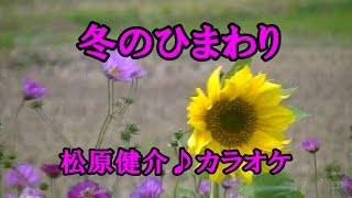 冬のひまわり♪松原健之♪カラオケ