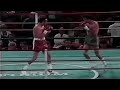 WOW!! WHAT A KNOCKOUT | Daniel Zaragoza vs Carlos Zarate, Full HD Highlights