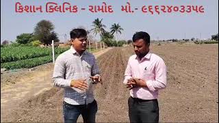 જમીન ચકાસણી વિશે A ટુ Z માહિતી- 96624 03359