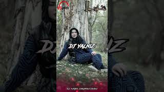 DJ Yalniz Eshghime Chara Yeni 2024 دیجی یالنیز عشقیم چارا جدید