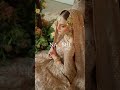 7 bridal wear 2024 bridal couture naqshi ready to wear