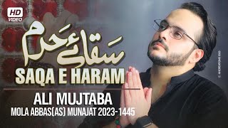 Saqa e Haram Rakh Lena Bharam | Mola Abbas Munajaat 2023 | Ali Mujtab 2023 | Saqa e Haram Isteghasa