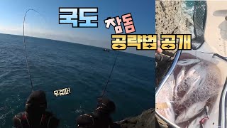 통영 국도 고기 많다 많아!  대물 참돔 낚시. 공략법. #fishing #낚시 #바다 #생활낚시 #국도 #참돔 #참돔낚시 #겟바위낚시 #겟바위 #흘림낚시