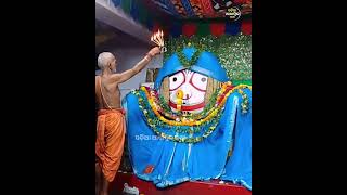 Morning Arati I Jay Jagannatha Mahaprabhu I Odia Bhajan I Jagannatha Bhajan I Puri, Odisha India