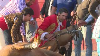 pedro Luceiro pierde a su caballo Grano de Oro