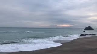 伊良湖 雨上がり (愛知県田原市・渥美半島)