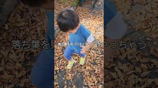 公園で見つけた落葉の山…ついついやっちゃうｗｗｗ～2歳児～【親バカ日記ほのぼの】#shorts #お散歩 #公園 #落葉 #www #子育て #育児 #癒し #可愛い #楽しい #成長記録