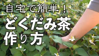 【どくだみ茶の作り方】生の葉もハーブティーみたいに美味しくいただけます。　/自分自身と向き合う「ひとり時間」。お茶を飲みながらゆっくりと心に耳を傾けませんか？