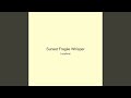 Sunset Fragile Whisper