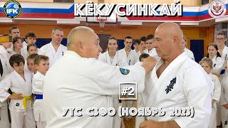 Кёкусинкай / Учебно-тренировочные сборы СЗФО / Сихан Танюшкин / Санкт-Петербург (ноябрь 2023) #2