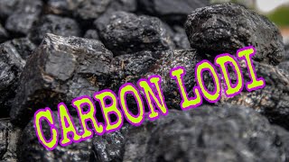 CARBON LODI #shortvideo