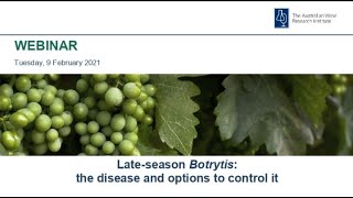 Late season Botrytis: the disease and options to control it