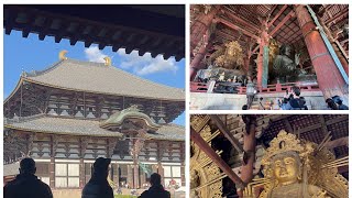 Todai-ji Temple/Narra park/@ailynmiyamotostravelandfun #japan #park