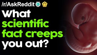 What scientific fact creeps you out? r/AskReddit Reddit Stories  | Top Posts