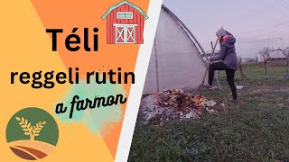 TÉLI Reggeli #rutin az olasz  farmon - #életahegyen