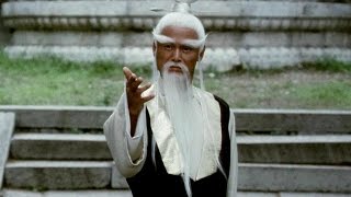 Top 10 Sensei Masters in Movies and TV