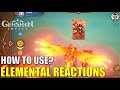 How to use Elemental Reactions in Genius Invokation TCG? | Genshin Impact