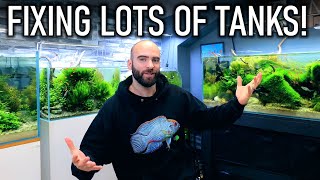 Fixing LOTS of Tanks! (detailed maintenance day)