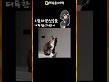 그림자 분신술을 쓰는 고양이 이 고양이의 비밀은 opticalillusion