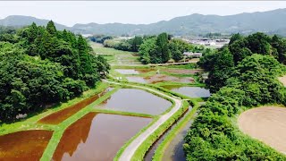 日本での田植え2021年 | RICE PLANTING | Nagano Vlog