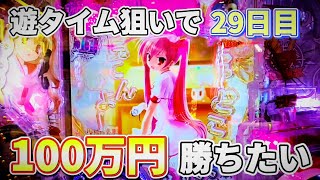 【P緋弾のアリア ～緋弾覚醒編～】【P織田信奈の野望 全国版】遊タイム狙いで100万勝てるか検証＃29日目