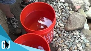 #245: Releasing First Koi into Koi Pond