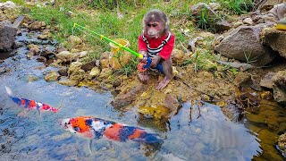 Baby Monkey Goes Fishing | Animals Home HT