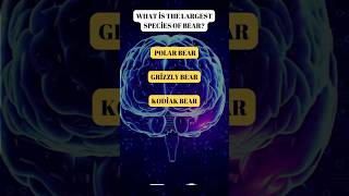 Only 10 Seconds! Can You Solve This Quiz? 🧠 #generalknowledgequiz #quizquestionsandanswer #shorts