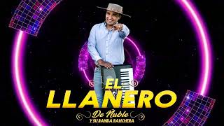 El Llanero De Ñuble  Y Su Banda Ranchera - Amor Limosnero 2023