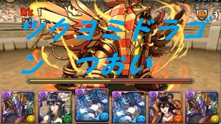 第２０回　チャレダン　Lv７　ツクヨミドラゴン　強い　楽勝