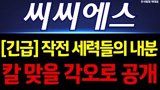 [씨씨에스 주가전망] 긴급!! 작전 세력들의 내분! 칼 맞을 각오로 공개합니다!!